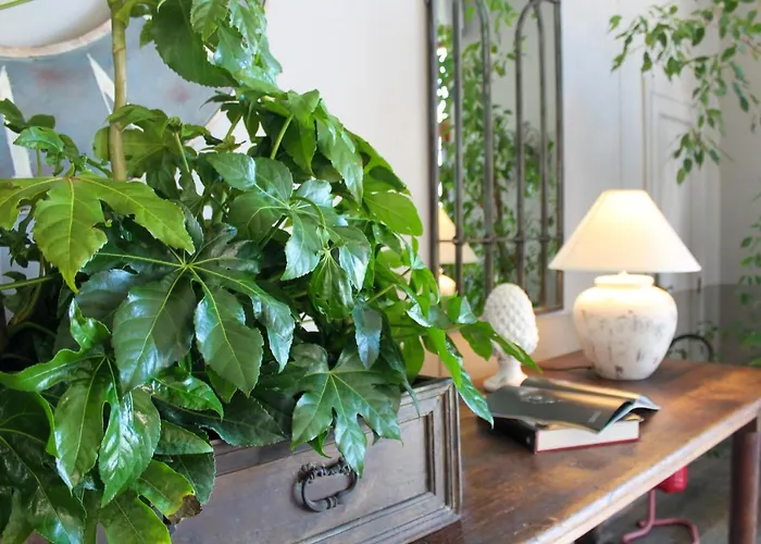 San Luca מלון 4*